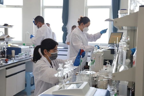 省生態環境監測專業技術人員大比武成功舉行，央廣網提供網絡技術支持服務