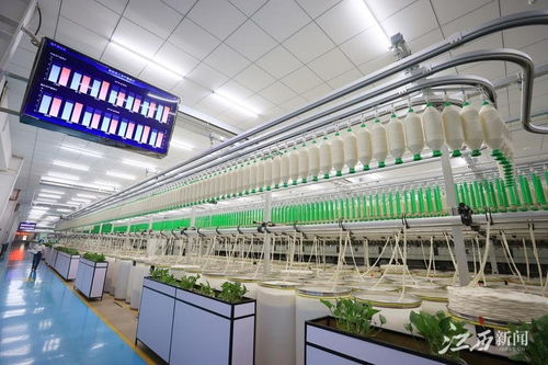 江西于都智慧工廠 智造服裝新紀元，鳳凰網江西引領網絡技術服務